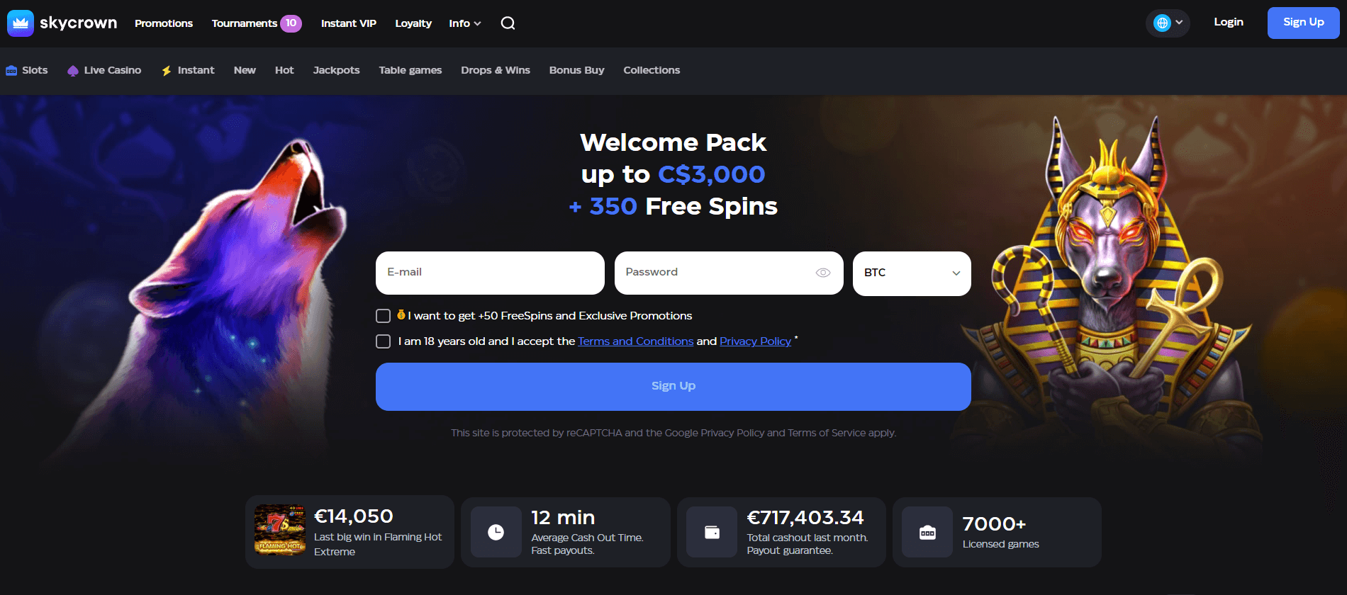 Skycrown ホームページ